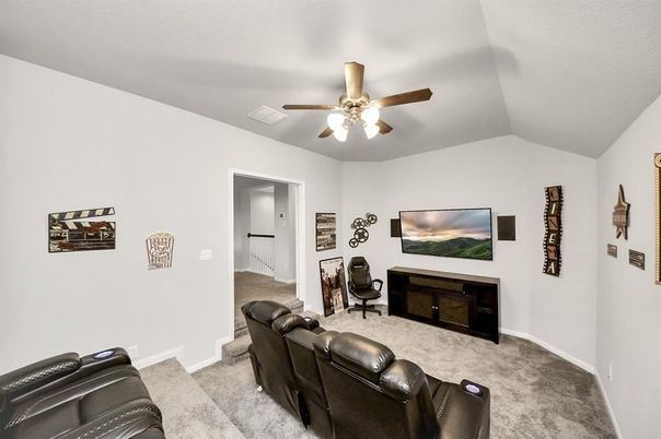 Home Theatre Room, Interior