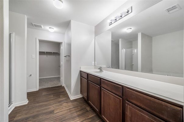 Bathroom, Dual Sink Vanities, Interior, Walk-in Closets, Wood Texture Flooring