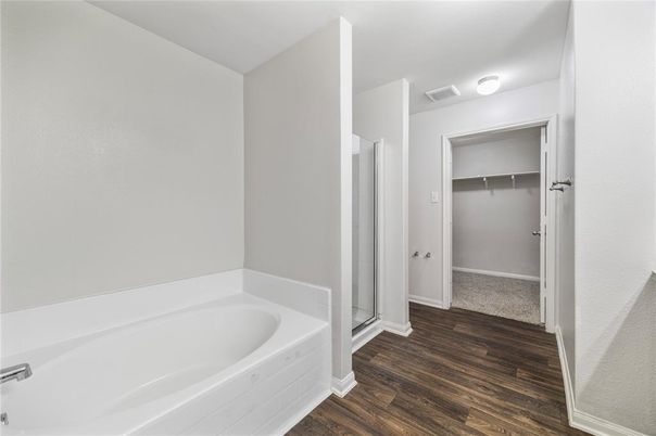 Bathroom, Interior, Walk-in Closets, Wood Texture Flooring