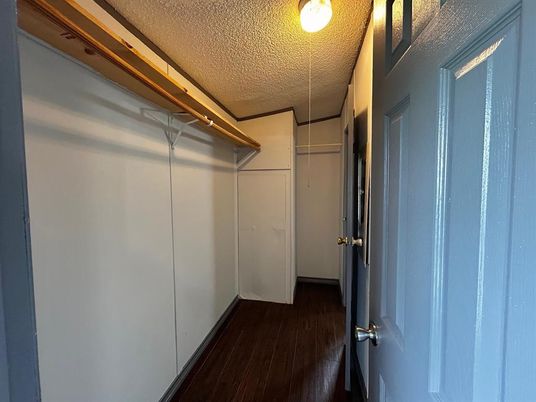 Interior, Walk-in Closets, Wood Texture Flooring