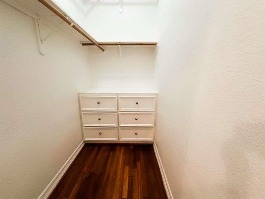 Interior, Walk-in Closets, Wood Texture Flooring