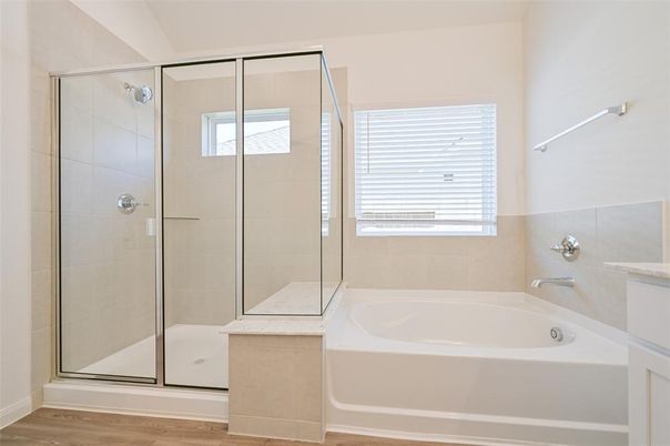 Bathroom, Glass Shower, Interior, Wood Texture Flooring