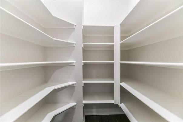 Interior, Walk-in Closets, Wood Texture Flooring