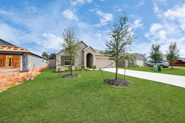 Backyard, Detached Garage, Exterior