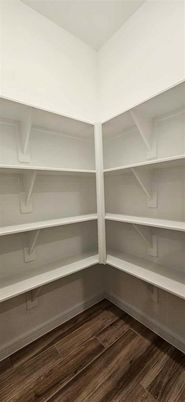 Interior, Walk-in Closets, Wood Texture Flooring
