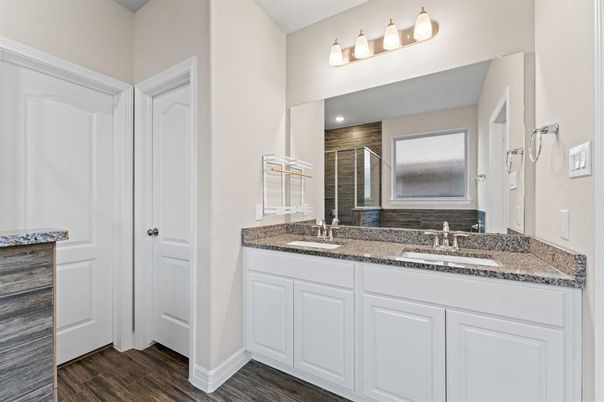 Bathroom, Dual Sink Vanities, Interior, Wood Texture Flooring
