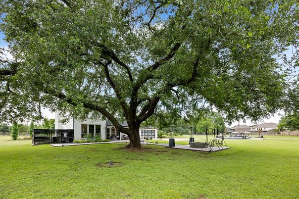 Backyard, Exterior, Playground