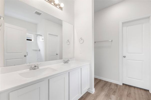 Bathroom, Dual Sink Vanities, Interior, Wood Texture Flooring