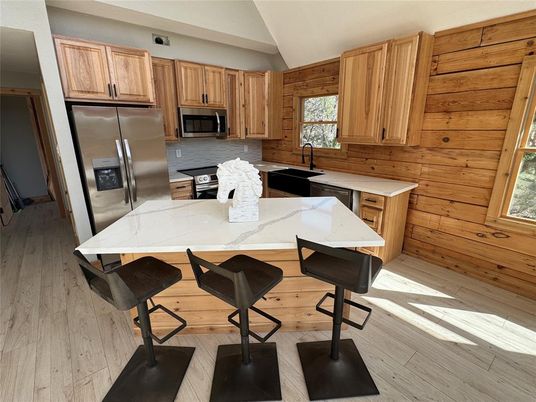 Interior, Kitchen, Stainless Steel Appliances, Wood Texture Flooring
