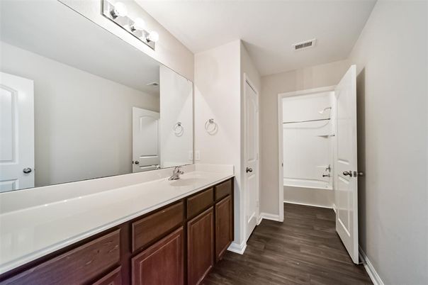Bathroom, Dual Sink Vanities, Interior, Wood Texture Flooring