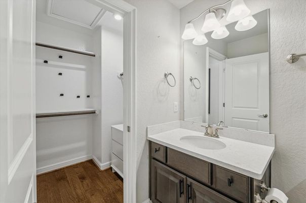 Bathroom, Interior, Wood Texture Flooring