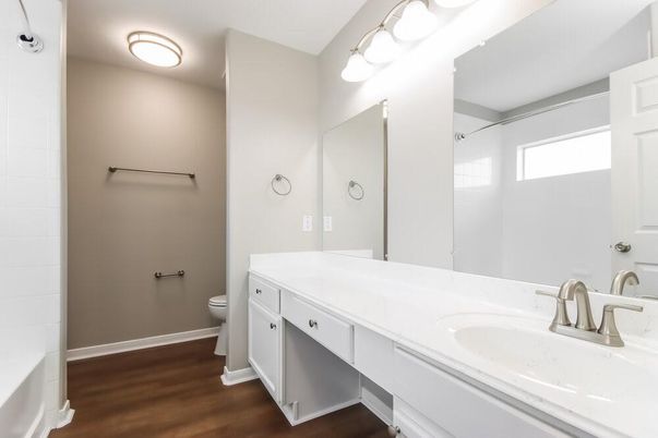 Bathroom, Dual Sink Vanities, Interior, Wood Texture Flooring