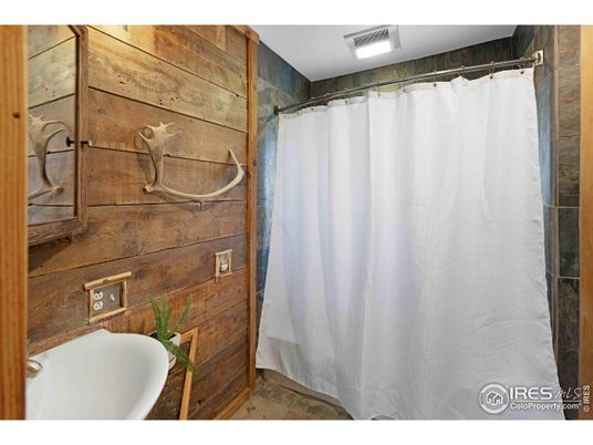 Bathroom, Interior, Wooden Walls