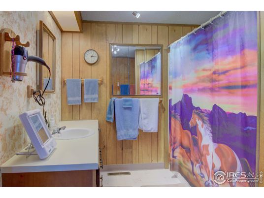 Bathroom, Interior, Wooden Walls