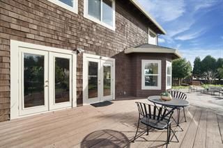 Exterior, Wood Texture Flooring