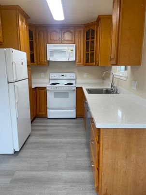 Interior, Kitchen, Wood Texture Flooring