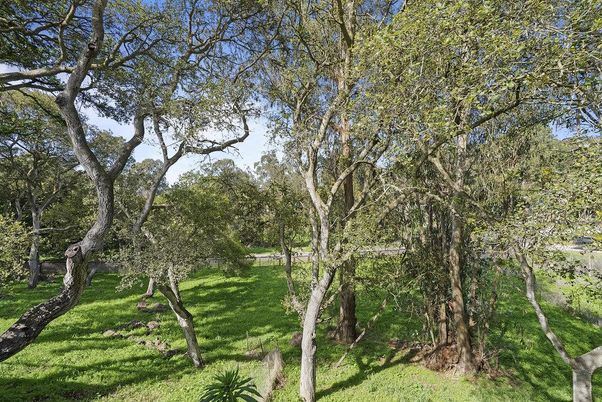 Backyard, Detached Garage, Exterior