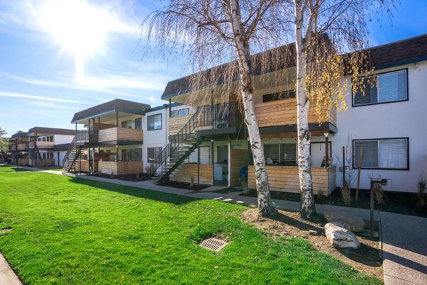 Backyard, Exterior, Facade, Modern