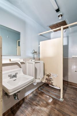 Bathroom, Interior, Wood Texture Flooring