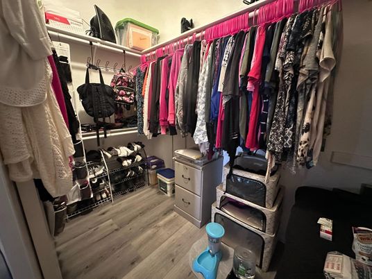 Interior, Walk-in Closets, Wood Texture Flooring