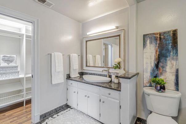 Bathroom, Dual Sink Vanities, Interior, Wood Texture Flooring
