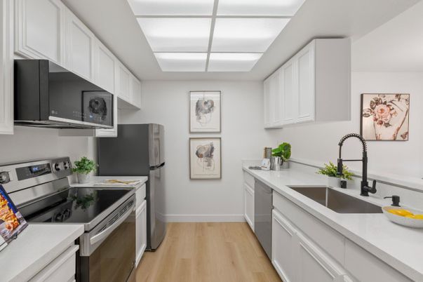 Interior, Kitchen, Stainless Steel Appliances, Wood Texture Flooring