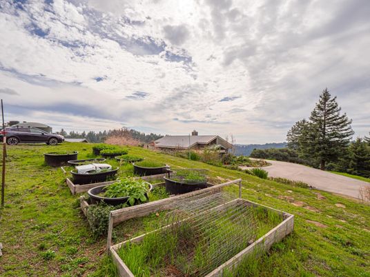 Backyard, Exterior, Water