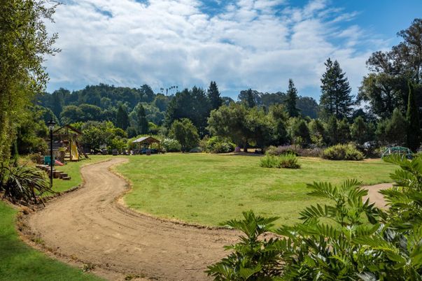 Backyard, Exterior, Playground