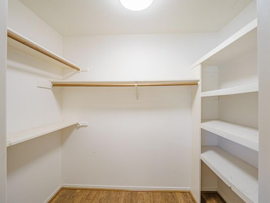 Interior, Walk-in Closets, Wood Texture Flooring