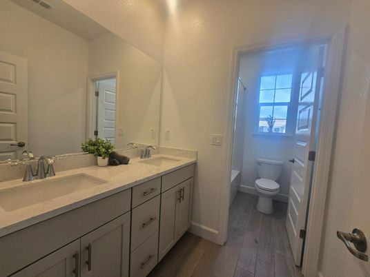 Bathroom, Dual Sink Vanities, Interior, Wood Texture Flooring
