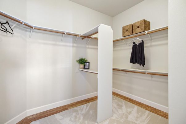 Interior, Walk-in Closets