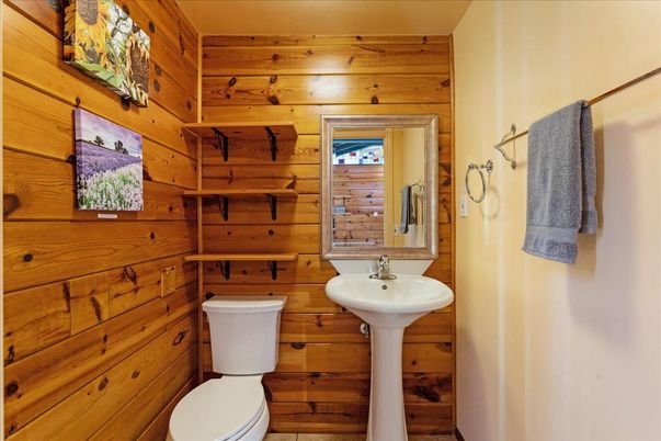 Bathroom, Interior, Wooden Walls