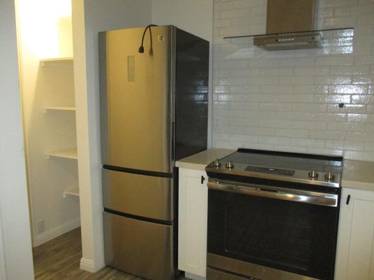Interior, Kitchen, Stainless Steel Appliances, Wood Texture Flooring