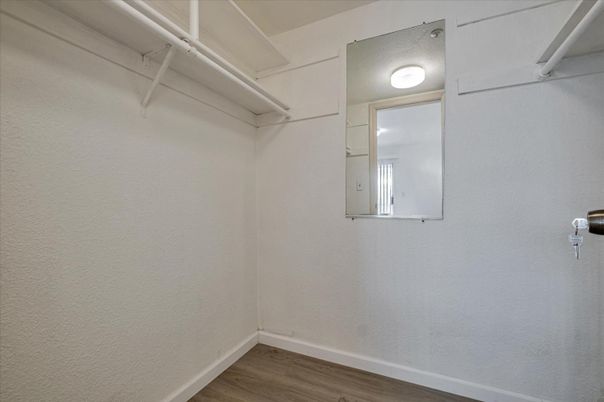 Interior, Walk-in Closets, Wood Texture Flooring