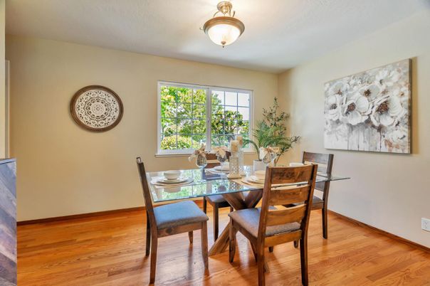 Dining room, Interior, Wood Texture Flooring