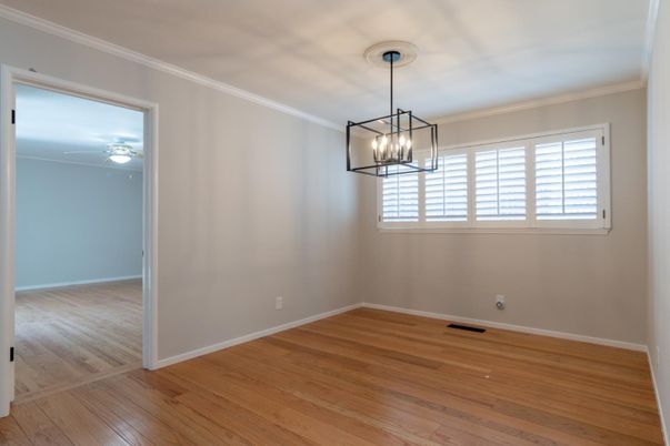 Empty room, Interior, Pendant Lights, Wood Texture Flooring