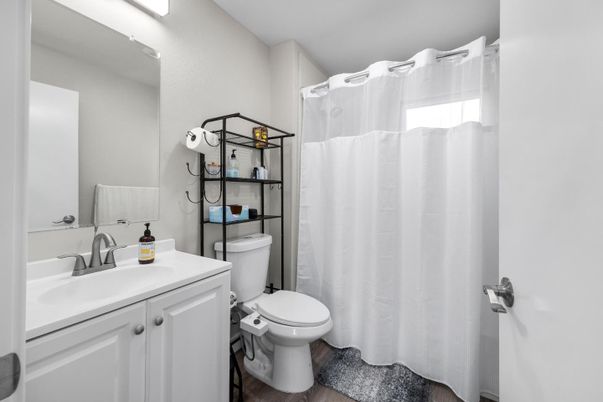 Bathroom, Interior, Wood Texture Flooring