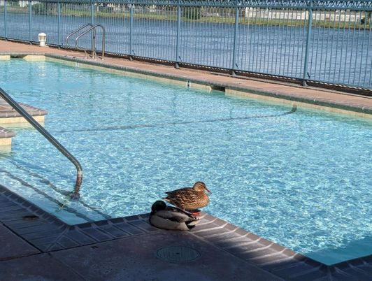 Exterior, Pool, Water