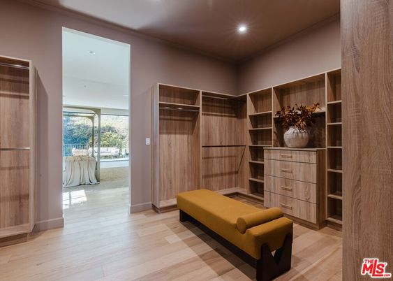 Interior, Recessed Lighting, Walk-in Closets, Wood Texture Flooring