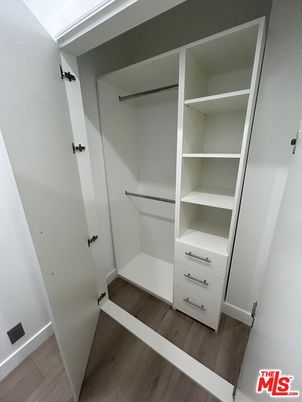 Interior, Walk-in Closets, Wood Texture Flooring
