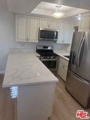 Interior, Kitchen, Stainless Steel Appliances, Wood Texture Flooring