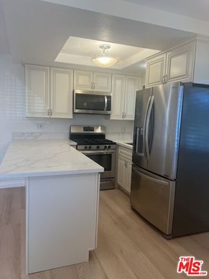 Interior, Kitchen, Stainless Steel Appliances, Wood Texture Flooring