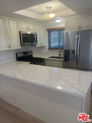 Interior, Kitchen, Stainless Steel Appliances, Wood Texture Flooring