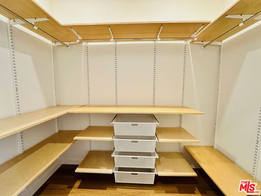 Interior, Walk-in Closets, Wood Texture Flooring