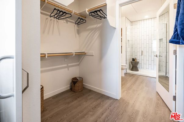 Bathroom, Interior, Recessed Lighting, Walk-in Closets, Wood Texture Flooring