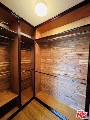 Interior, Walk-in Closets, Wood Texture Flooring, Wooden Walls