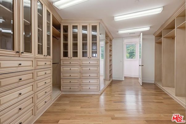 Interior, Walk-in Closets, Wood Texture Flooring