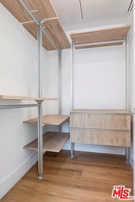 Interior, Walk-in Closets, Wood Texture Flooring
