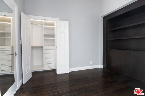 Interior, Walk-in Closets, Wood Texture Flooring