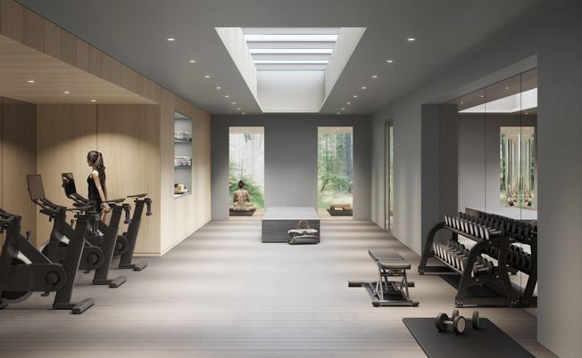 Fitness Equipment, Gym, Interior, Recessed Lighting, Wood Texture Flooring